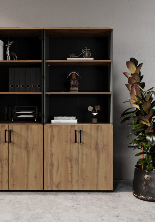 2-door cupboard of office set Jurian