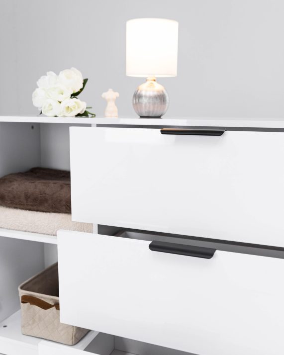 Комод Рома Color 2дв 3шх